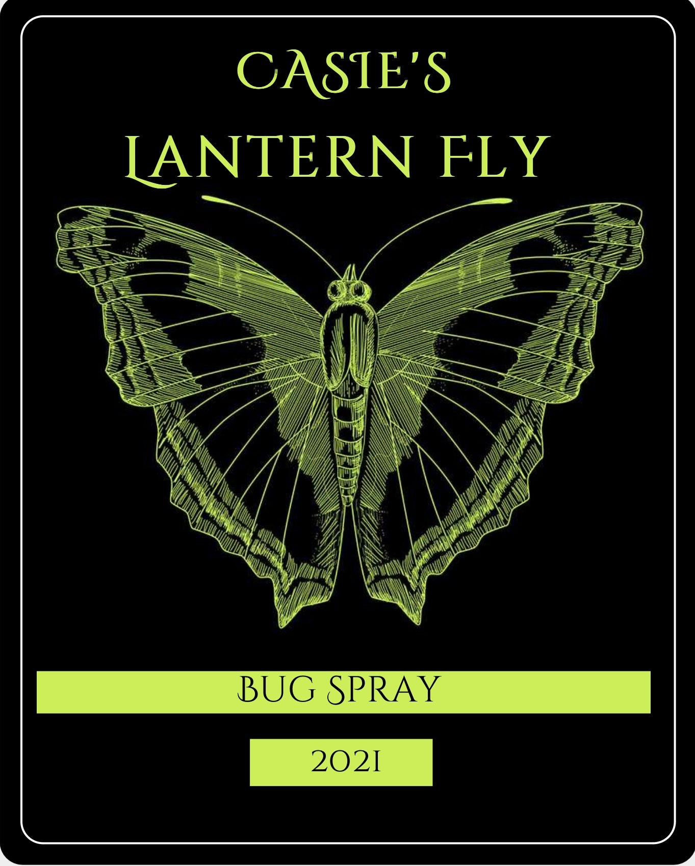 Casies Lantern Fly Spray